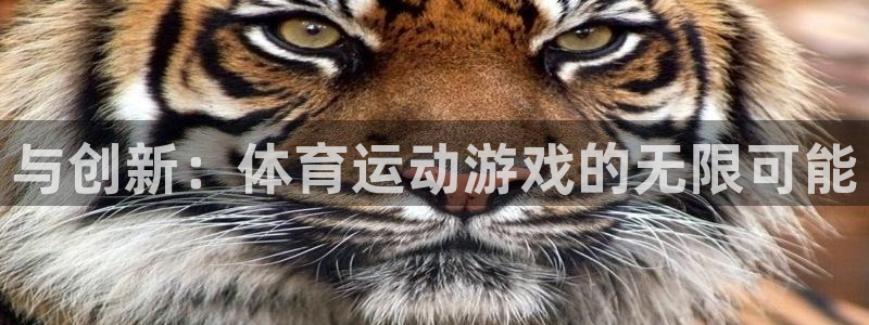 德国3377体育官方正版app集团:与创新:体育运动游戏的无