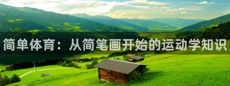 3377体育官方正版app代理:简单体育:从简笔画开始的运动